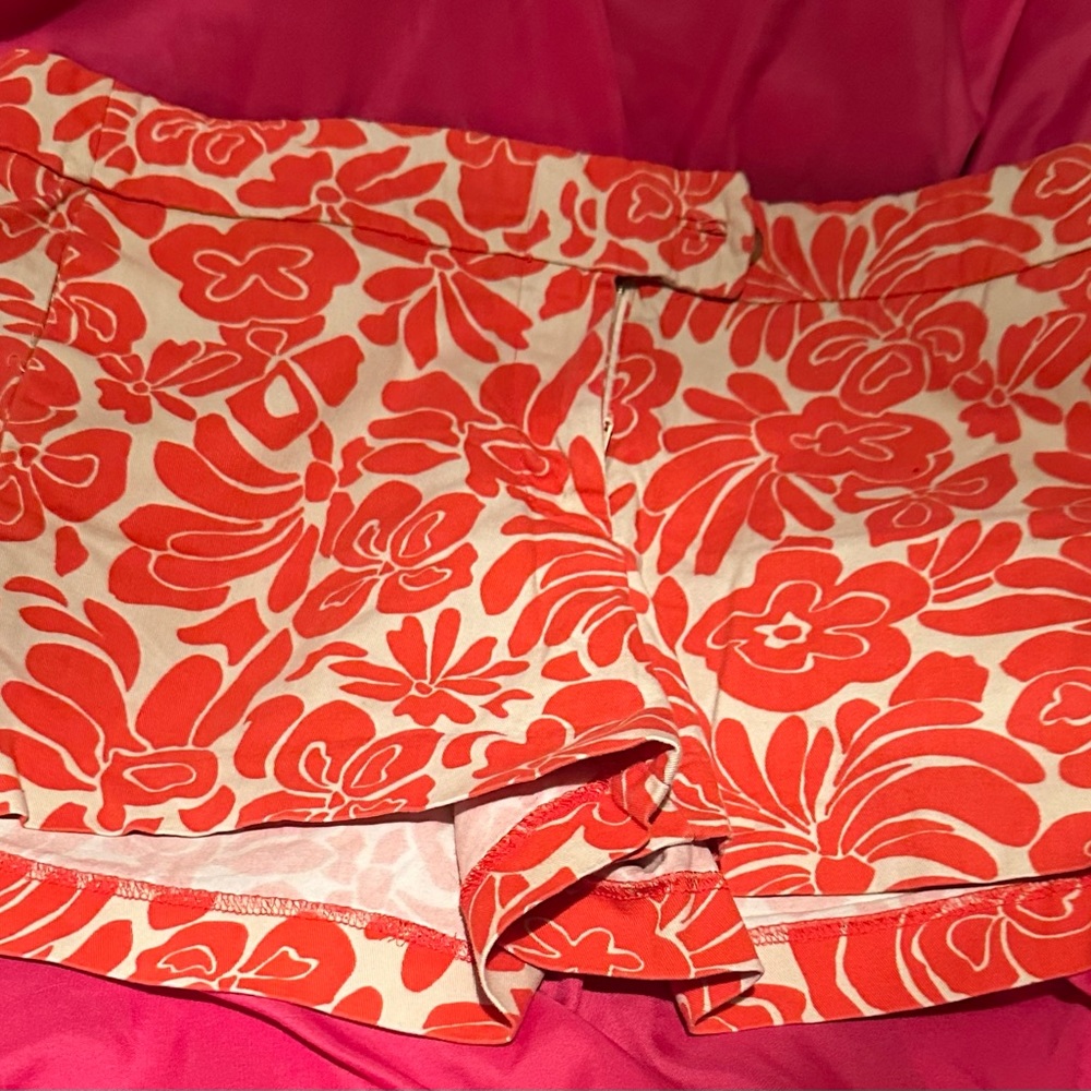 Jcrew Shorts - image 1